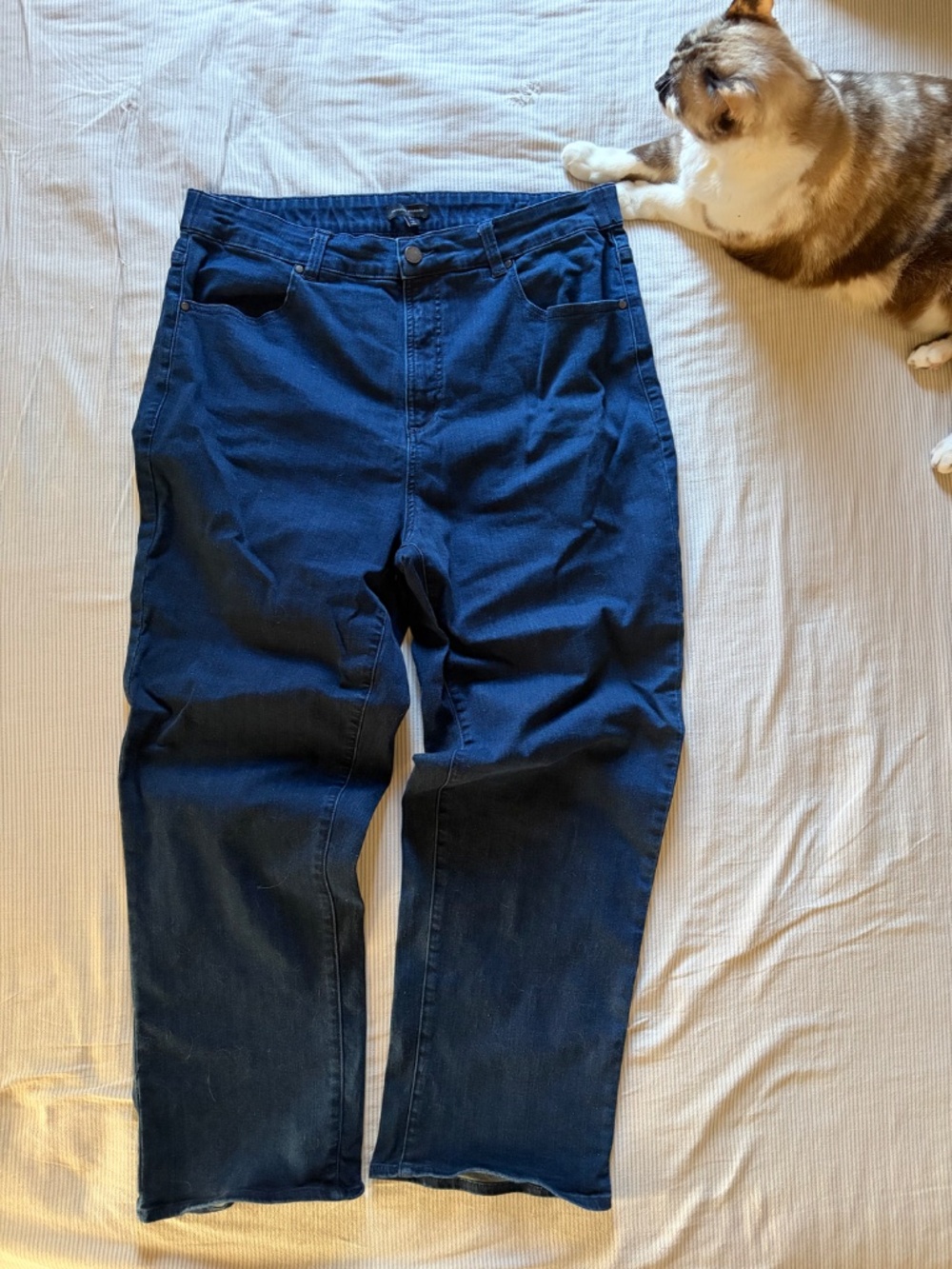 Universal Standard Seine jeans high rise dark wash curvy